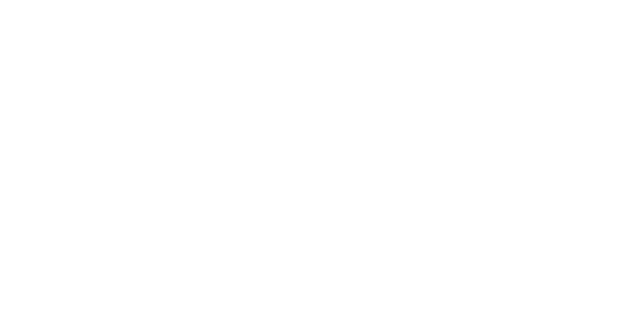 LpS Deco System